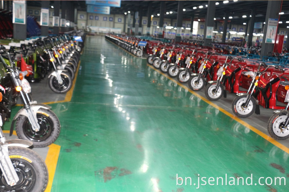 3 Wheel Electric Tricycle for Adults